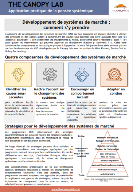 Développement de systèmes de marché (MSD): comment s’y prendre
