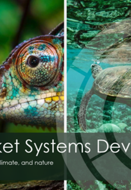 Green Market Systems Development