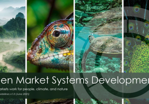 Green Market Systems Development